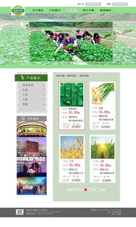 打造高效与体验并重的农产品电商网站设计指南